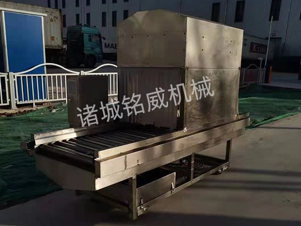全自动外包装消毒机